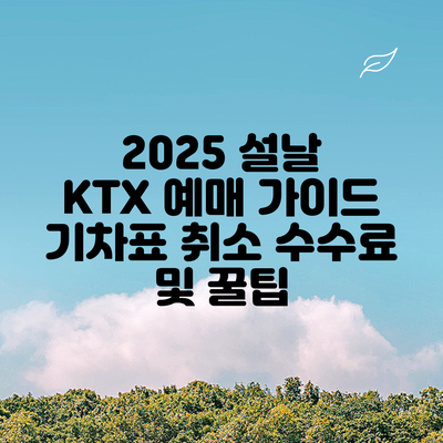 2025 설날 KTX 예매 가이드: 기차표 취소 수수료 및 꿀팁