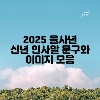 2025 을사년 신년 인사말 문구와 이미지 모음