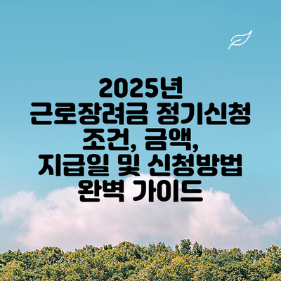 2025년 근로장려금 정기신청: 조건, 금액, 지급일 및 신청방법 완벽 가이드