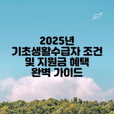 2025년 기초생활수급자 조건 및 지원금 혜택 완벽 가이드