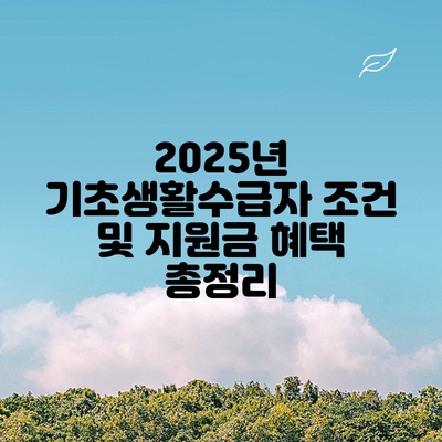 2025년 기초생활수급자 조건 및 지원금 혜택 총정리