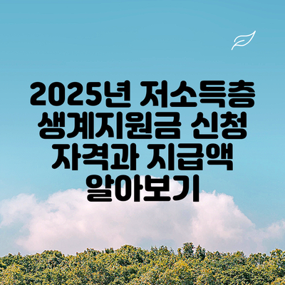 2025년 저소득층 생계지원금: 신청 자격과 지급액 알아보기