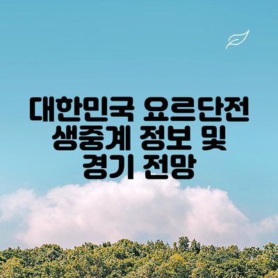 대한민국 요르단전 생중계 정보 및 경기 전망