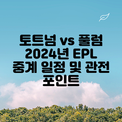 토트넘 vs 풀럼 2024년 EPL 중계 일정 및 관전 포인트