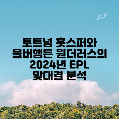 토트넘 홋스퍼와 울버햄튼 원더러스의 2024년 EPL 맞대결 분석